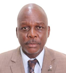 Program Manager | Prosecution